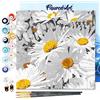 Figured'Art Mini Dipingere con i Numeri 20x20cm con Telaio - Paint by Numbers Pretty Daisies, Passatempo per Adulti, Kit Completo, Hobby Creativi - Quadri fai da te Tela Già Incorniciata