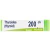 Thyroidea Thyroidinum 200Ch Gl 1 pz Globuli