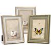 Afuly 13X18 Cornice Photo Vintage Set 3 Pezzi Collage Bianco Verde Oro Retrò Antico Shabby Decorazione Parete Scrivania Famiglia Amico Nozze Compleanno Natale Regalo Madre Nonna Amica