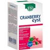 ESI Srl ESI Cranberry Cyst, 16 Pocket Drink