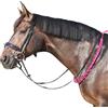 EQuest Balance Reins Pro: rende più facile per il cavallo trovare l'eq