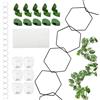 LEIMEND 18 Pezzi Supporto Piante Rampicanti Traliccio per Rampicanti Traliccio per Piante da Appartamento con 6 Ganci 10 Morsetti e 12 Fogli Adesivi per Rampicanti Pothos Monstera Edera Clematide