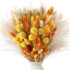 Xbessc 128 Pezzi Bouquet di Fiori Secchi Arancio, Fiori Secchi Decorativi Autunno, Erba di Pampa Essiccata Naturale, Bouquet di Erba Della Pampas per Bomboniere,Matrimonio,Decorazione Della Casa e Partito