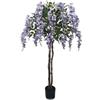 DRW Albero Whisteria gliceria Viola 72x72x135 cm