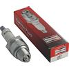 Greenstar 15736 - Candela Champion RL87YC
