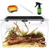 Reptile Growth Terrario Kit, 16 x 8x 10 PC terrarium con vista completa visivamente accattivante, PC terrario rettili per Geco leopardino Drago barbuto Ragno lumaca insetto tarantola serpente