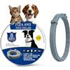 FFTANXS Collare Antipulci Cane, Collare antiparassitario per cani/gatti, Collare antizecche per cani, 8 Mesi di Protezione Impermeabile Universale Collare Antiparassitario Cani,Oli Essenziali Naturali Al 100%