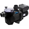 Pompa E-Flo Hayward Trifase IE3 da 0,50 a 3 HP