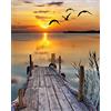 MWOOT Diamond Pasted Painting 5D Fai da Te con i Numeri,Pittura Diamante 5D DIY,Strass Ricamo a Punto Croce Craft Arts per Home Parete Pittura Decor(30x40cm) -Scenario al Tramonto