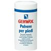 Gehwol Polvere Per Piedi 100 G Gehwol