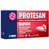 Fimo Protesan Rapido Ripara Protesi Fimo