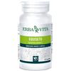 Erba Vita Equiseto 125 Tavolette Erba Vita