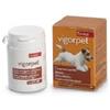 Candioli Vigorpet Cani Barattolo 20 Compresse Candioli