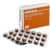 S.f. Group Radicalia 30 Compresse S.f. Group