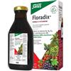 Floradix Ferro E Vitamine 250 Ml Floradix