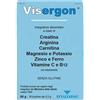 Revalfarma Visergon 16 Bustine 5,5 G