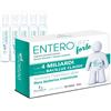Paladin Pharma Enterolife Forte 4 Miliardi 20 Fiale Da 5 Ml