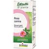 Boiron Rosa Canina Boiron Macerato Glicerico 60 Ml Boiron