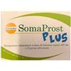 Gissoma Somaprost Plus 20 Stick