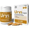 Innovet Urys Caps 30 Capsule Innovet