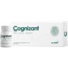 Mc Stone Italia Cognizant 10 Flaconi Da 10 Ml Mc Stone Italia