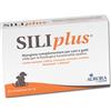 Aurora Biofarma Siliplus 30 Compresse