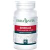 Erba Vita Boswellia Serrata 60 Capsule 400 Mg Erba Vita