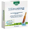 Esi Biocollagenix 15 Ampolle Da 1,8 Ml Esi