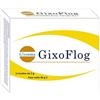 Gissoma Gixoflog 16 Bustine