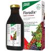 Floradix Ferro E Vitamine 500 Ml Floradix