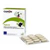 Camon Hybrid 30 Compresse Camon