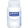 NESTLE' ITALIANA SpA Nestlé Pure Encapsulations Ashwagandha 30 Capsule Integratore per il Benessere