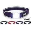 Dog Gone Smart - Collare per cani a forma di cometa, ricaricabile, con luce LED, viola, piccolo, 33-40,6 cm