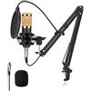 Cocoarm BM 800 Microfono a Condensatore da Studio con Supporto a Braccio, Filtro Anti-pop, Tappo in Schiuma, per Gaming, Registrazione, Podcast, YouTube