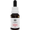 NATUR Srl BACH 33 WALNUT Ess.20ml NATUR