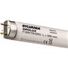 SYLVANIA F15W T8 GRO - RETAIL