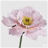 EDG Enzo De Gasperi Decoro Peonia Jumbo H 65 Cm D 65 Cm Lilac