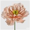 EDG Enzo De Gasperi Decoro Peonia Jumbo H 70 Cm D 80 Cm Rosa Crema