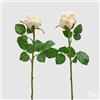 EDG Enzo De Gasperi Rosa Bocciolo Olis 3 Fg Ramo Ass. H 51 Cm Pianta Artificiale Avorio 1 Pz