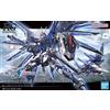 Bandai Model Kit - HG CE Rising Freedom Gundam STTS-909 1:144