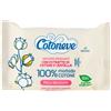 COTONEVE SALV STRUCCANTI PS 20 PZ