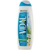 VIDAL NEW B/D COCONUT WATER 500ML