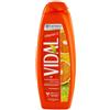VIDAL NEW B/D VITAMINA C 500ML