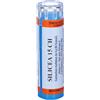 HERING Silicea 80 Granuli 15 Ch Contenitore Multidose