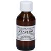 Sarandrea Marco ZENZERO 100ML TINTURA MADRE
