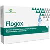AQUA VIVA Srl FLOGOX 30CPS