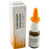 Heel Euphorbium Compositum Spray Nasale 20 Ml