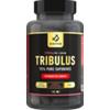 TRIBULUS 120 caps