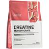 Ostrovit - Creatina Monoidrato al Gusto di Anguria, 500 g
