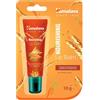 Himalaya Balsamo Labbra Nutriente - 10g